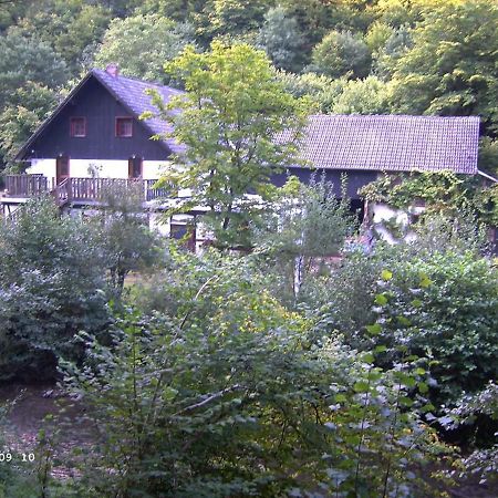 Neumuehle Ferienwohnung 2 Lutzerath Экстерьер фото