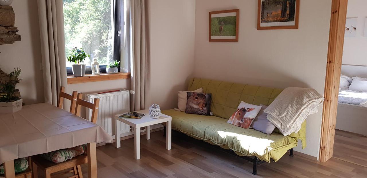 Neumuehle Ferienwohnung 2 Lutzerath Экстерьер фото