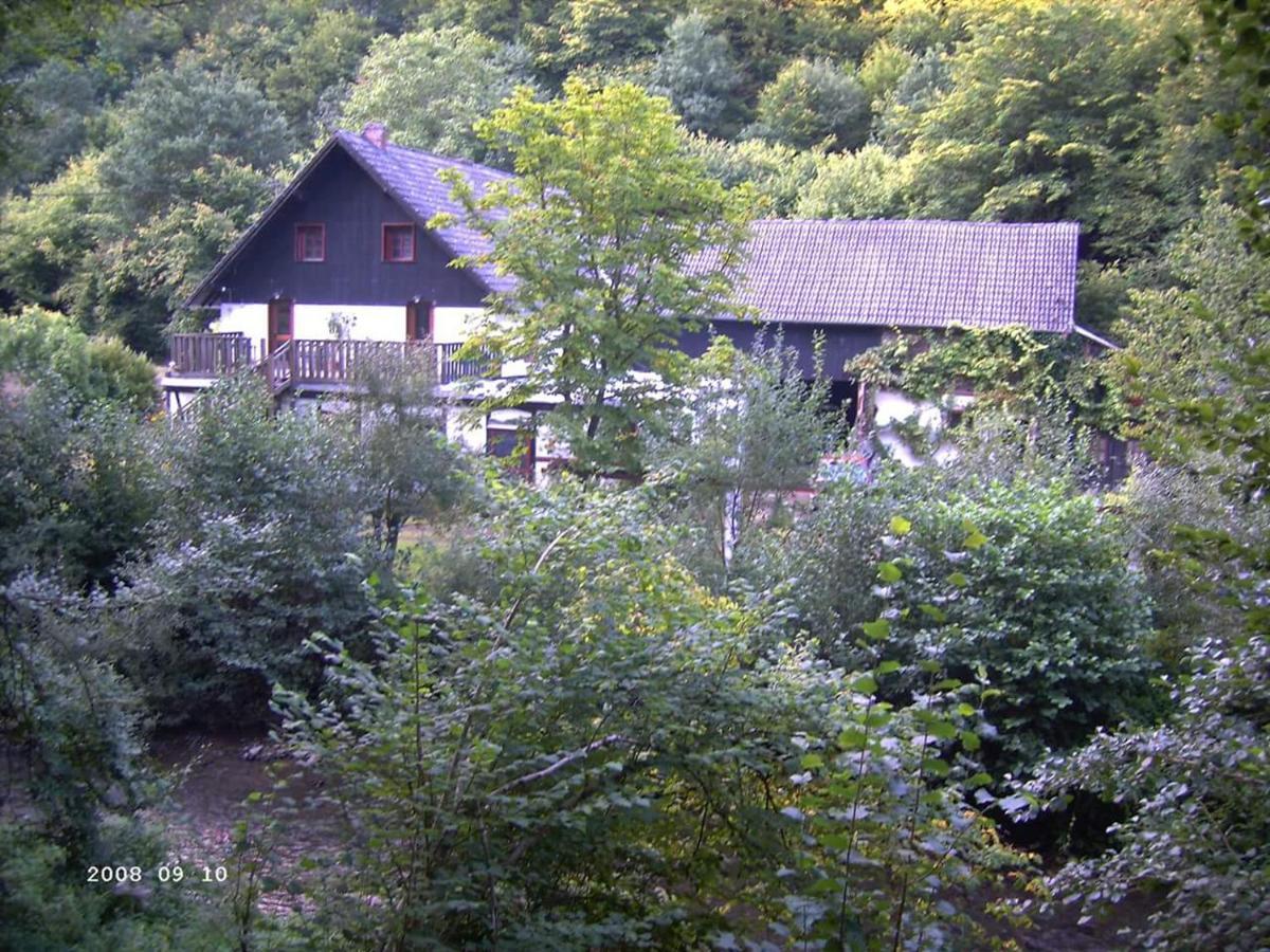 Neumuehle Ferienwohnung 2 Lutzerath Экстерьер фото